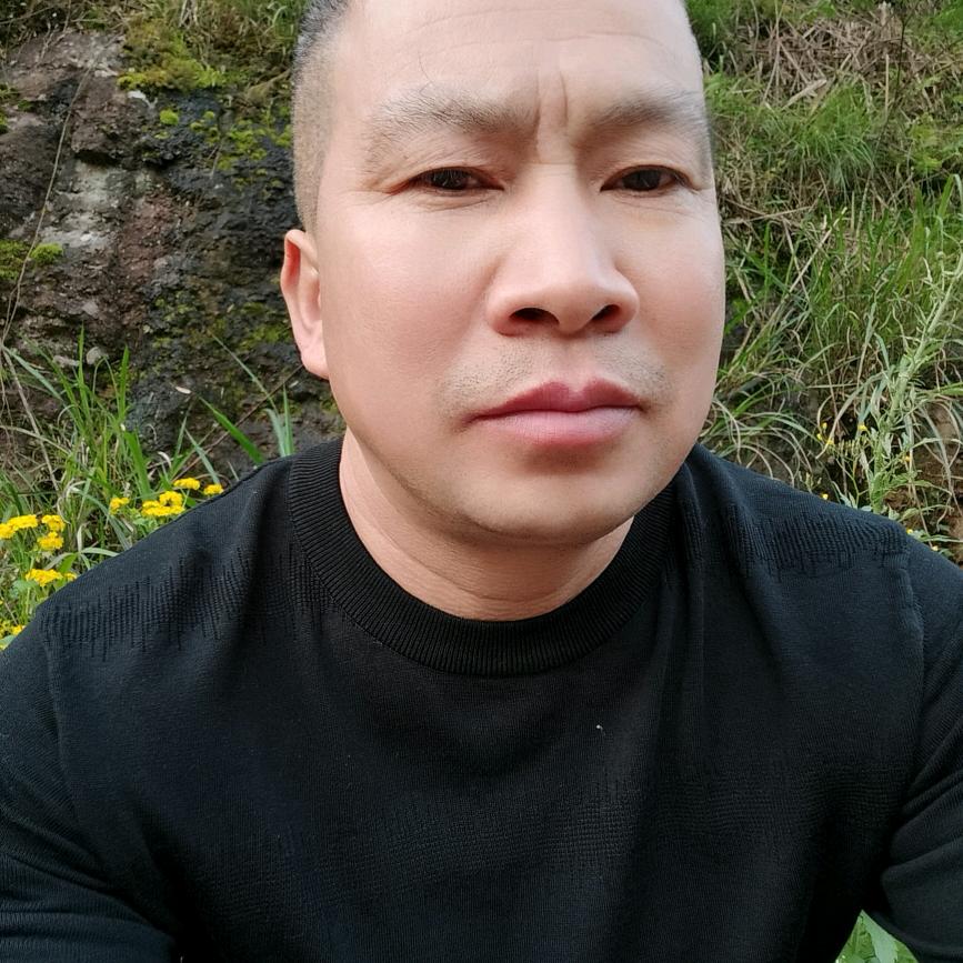 消飞歌