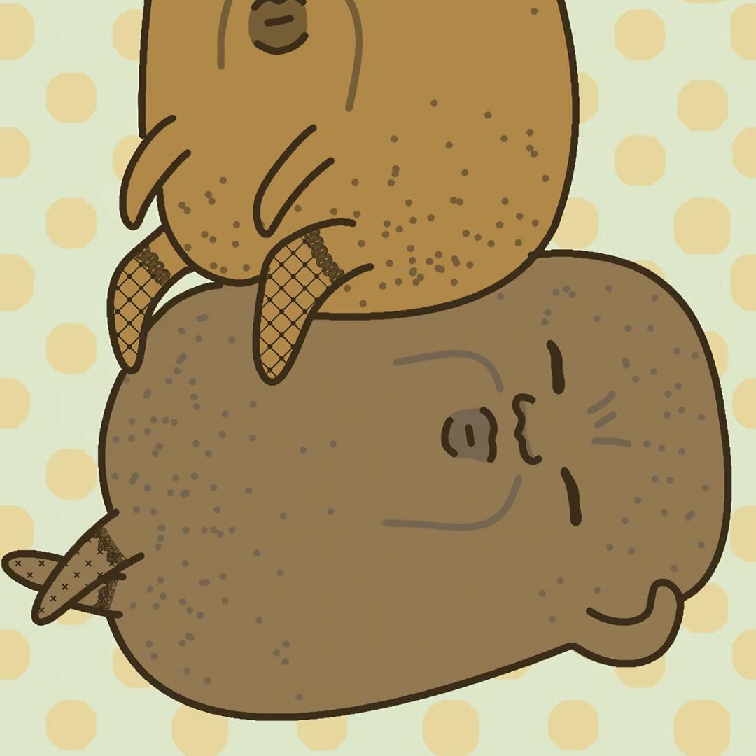 大乔，你为什么要放圈？