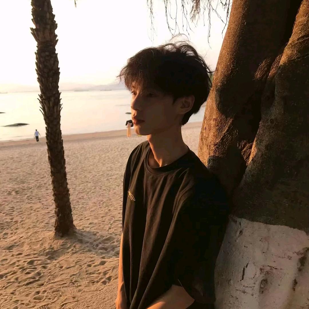 窗外藏花海他蝶