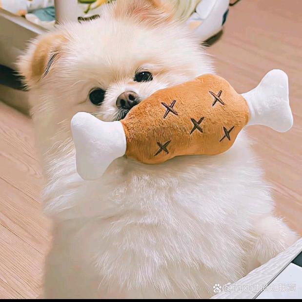 姐就是女王