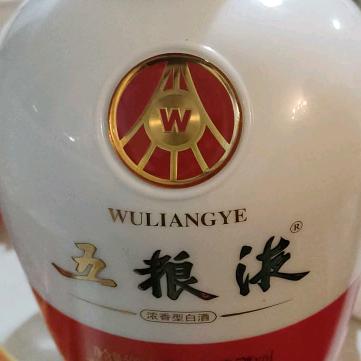 一匹天涯的马
