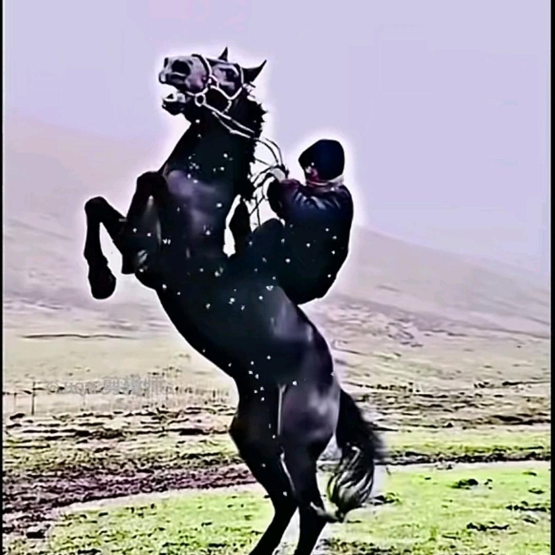 ལོ་ཟླ།