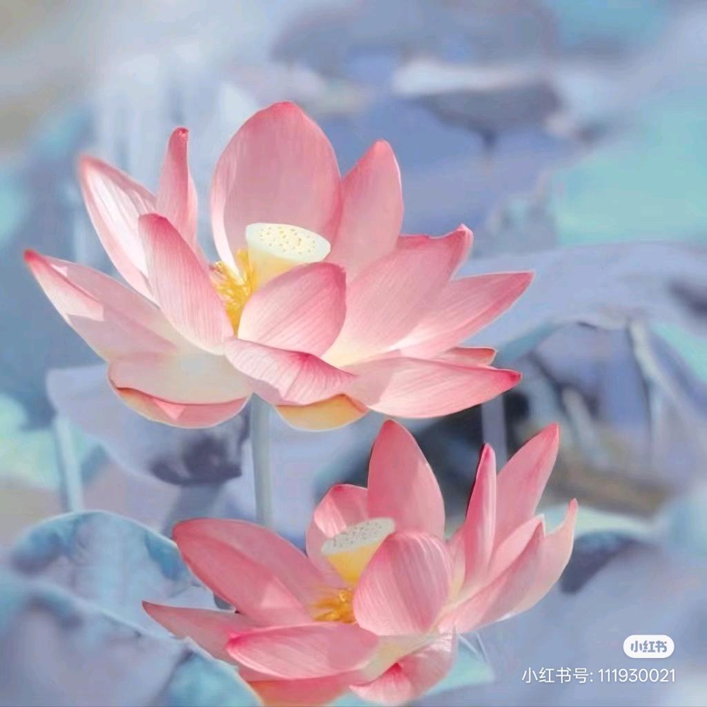 顺遂无虞