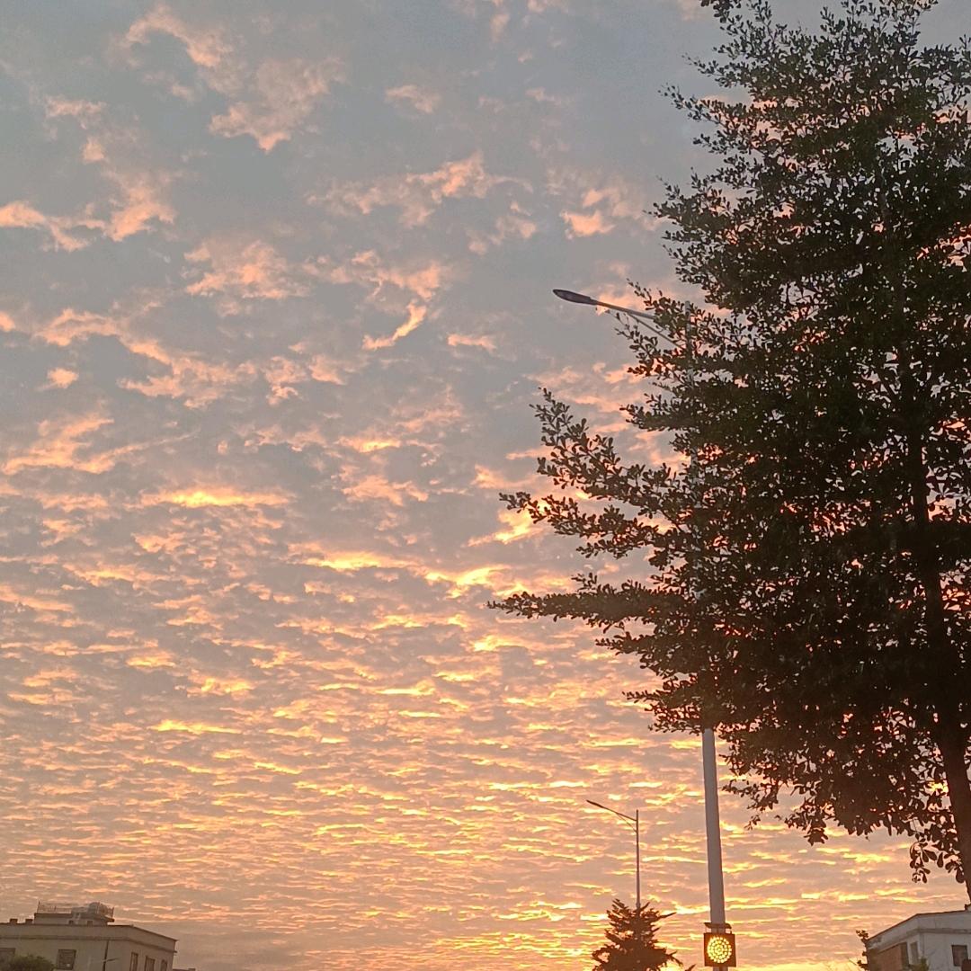 星语心愿（团购达人）