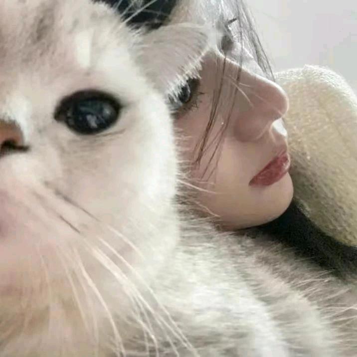无眠