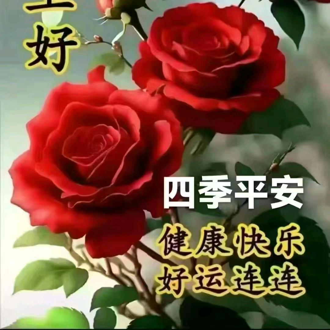 131237716269