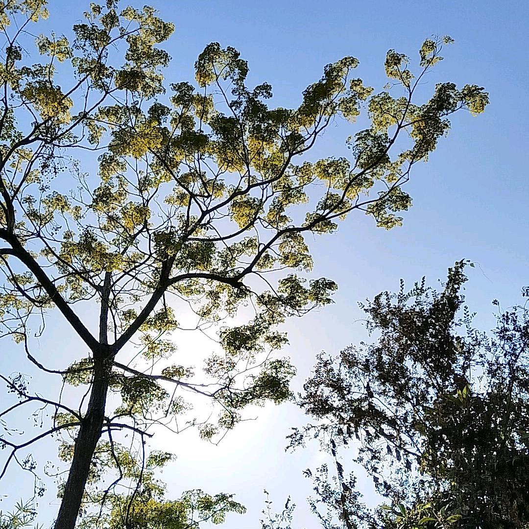 🌸🌸过好每一天🌸🌸