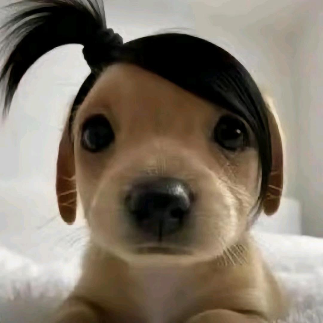 Sweet（见过JJ和解解的紫海版）