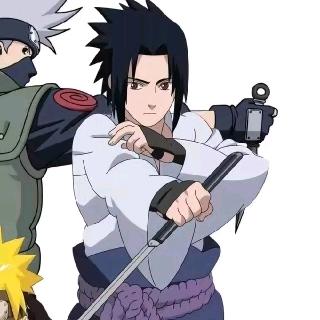 学长大人爱火鸡