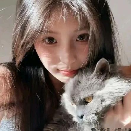 小桃子才不呆࿐