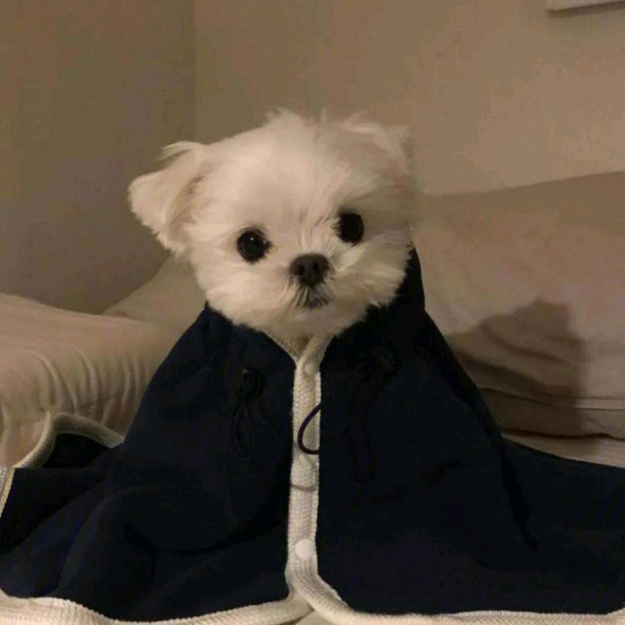 赵优优