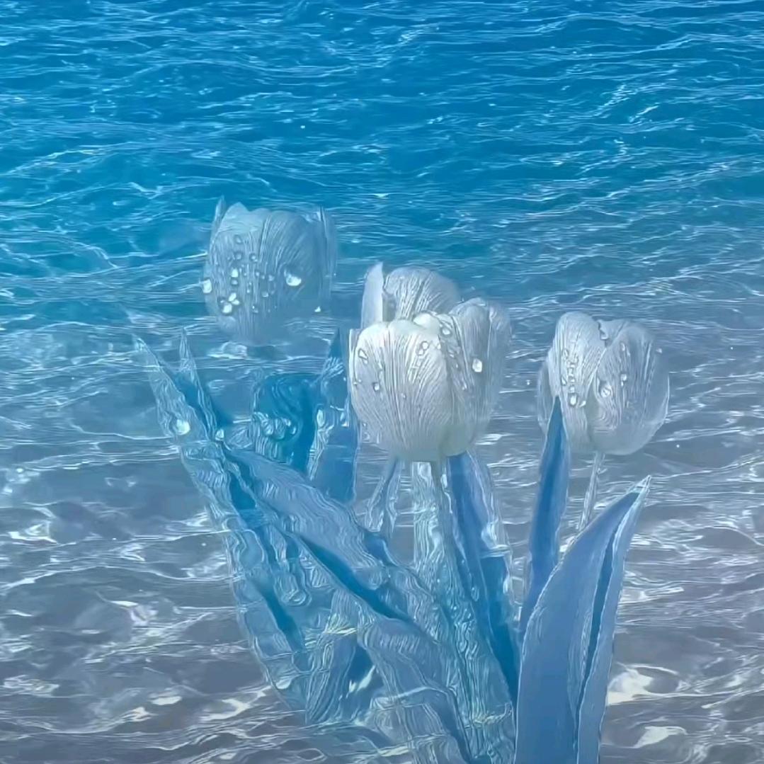 情感小筑❄