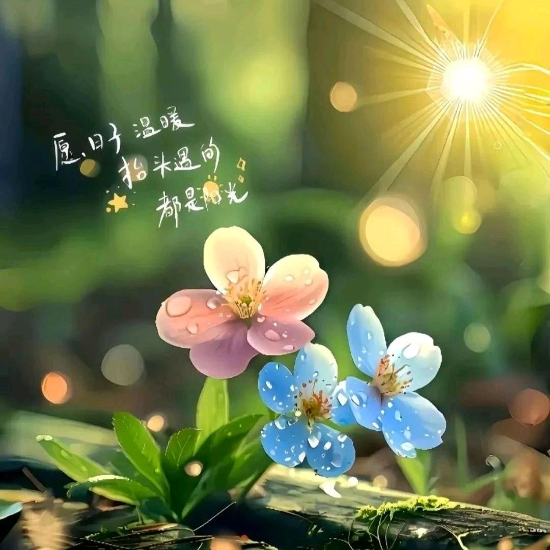 🌿隐ᮨ身꯭ཽ💞