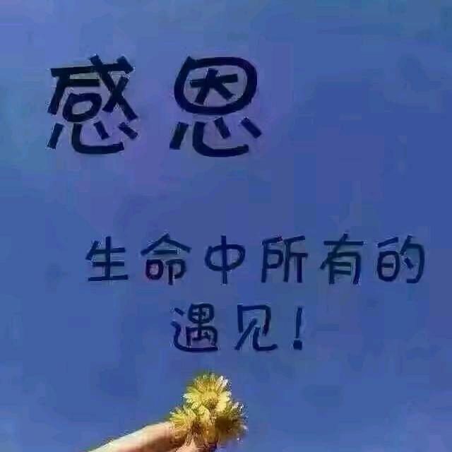 平安是福🌴🌴