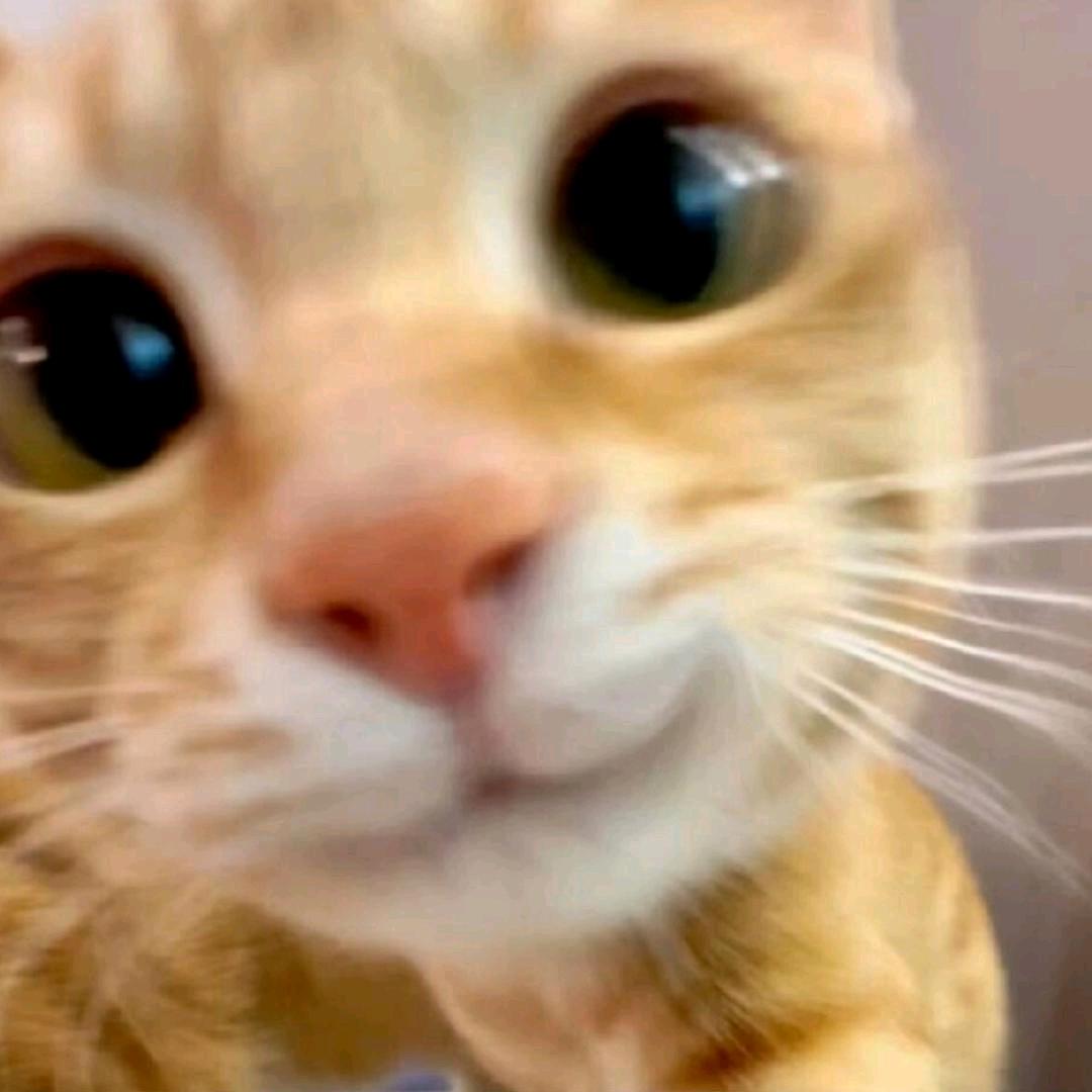 小航tut