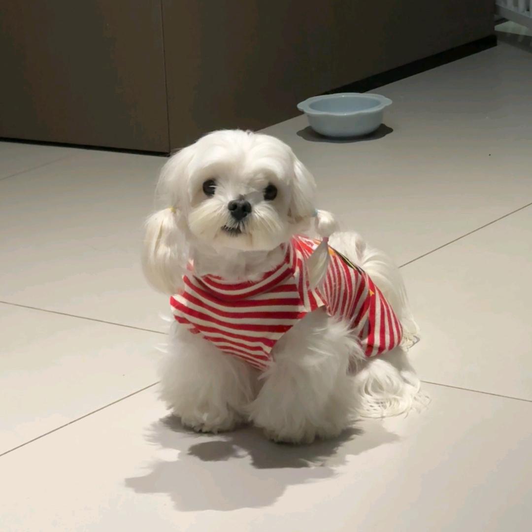 云