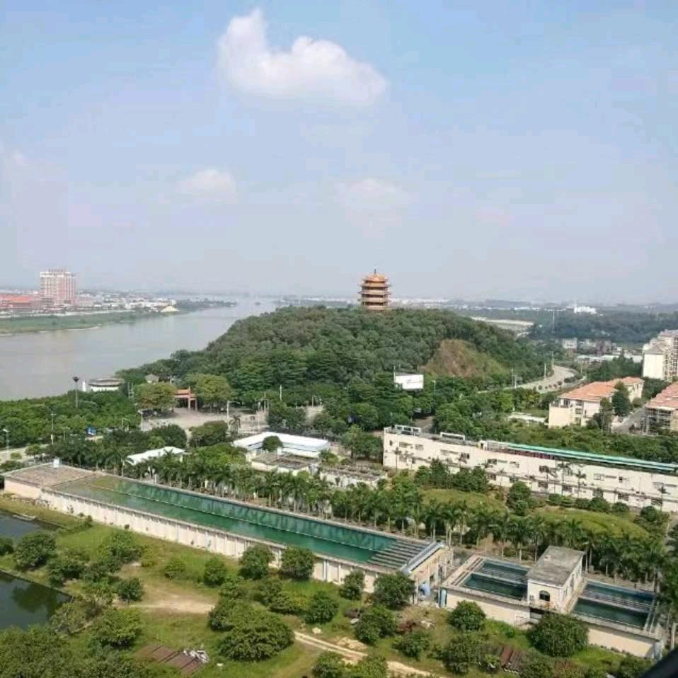 业白gg