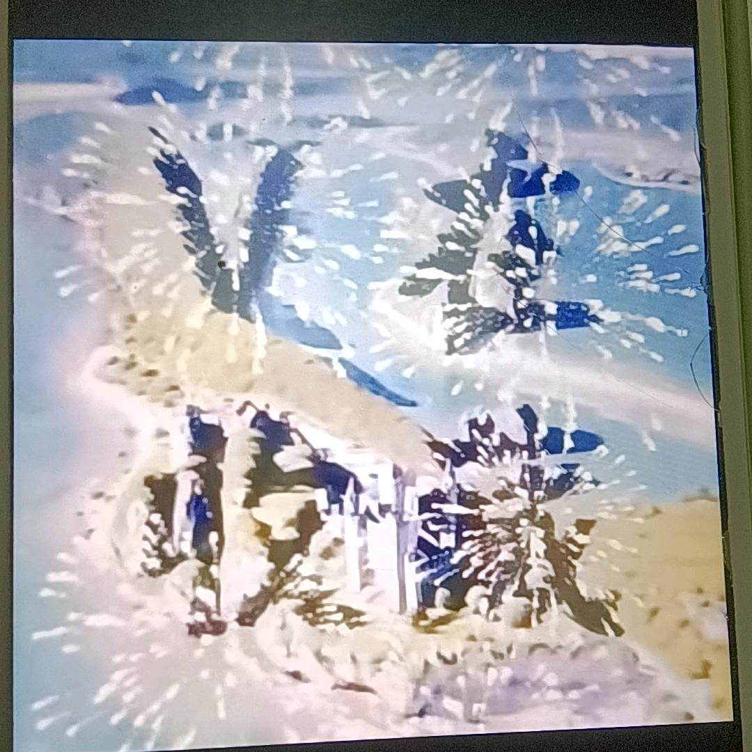 静静姐
