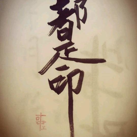 老男孩