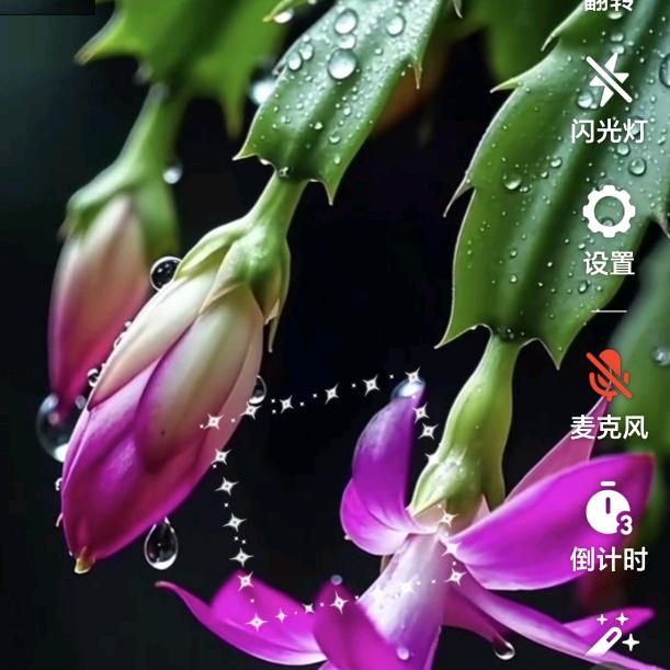 情深缘浅