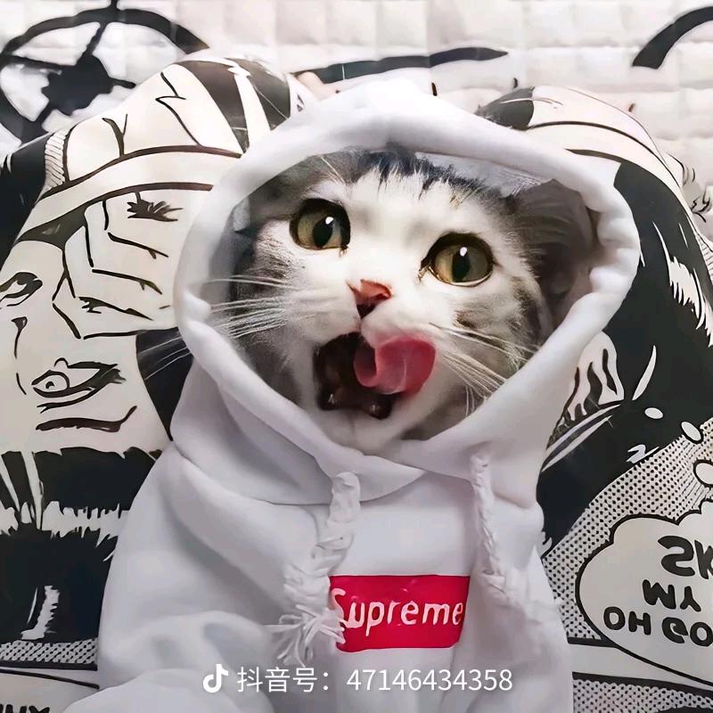 旧