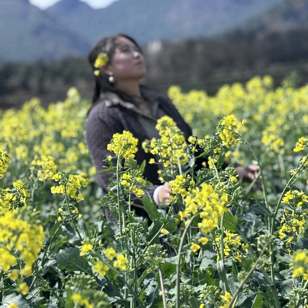 蒋丽