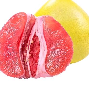 香肠派对西柚头像