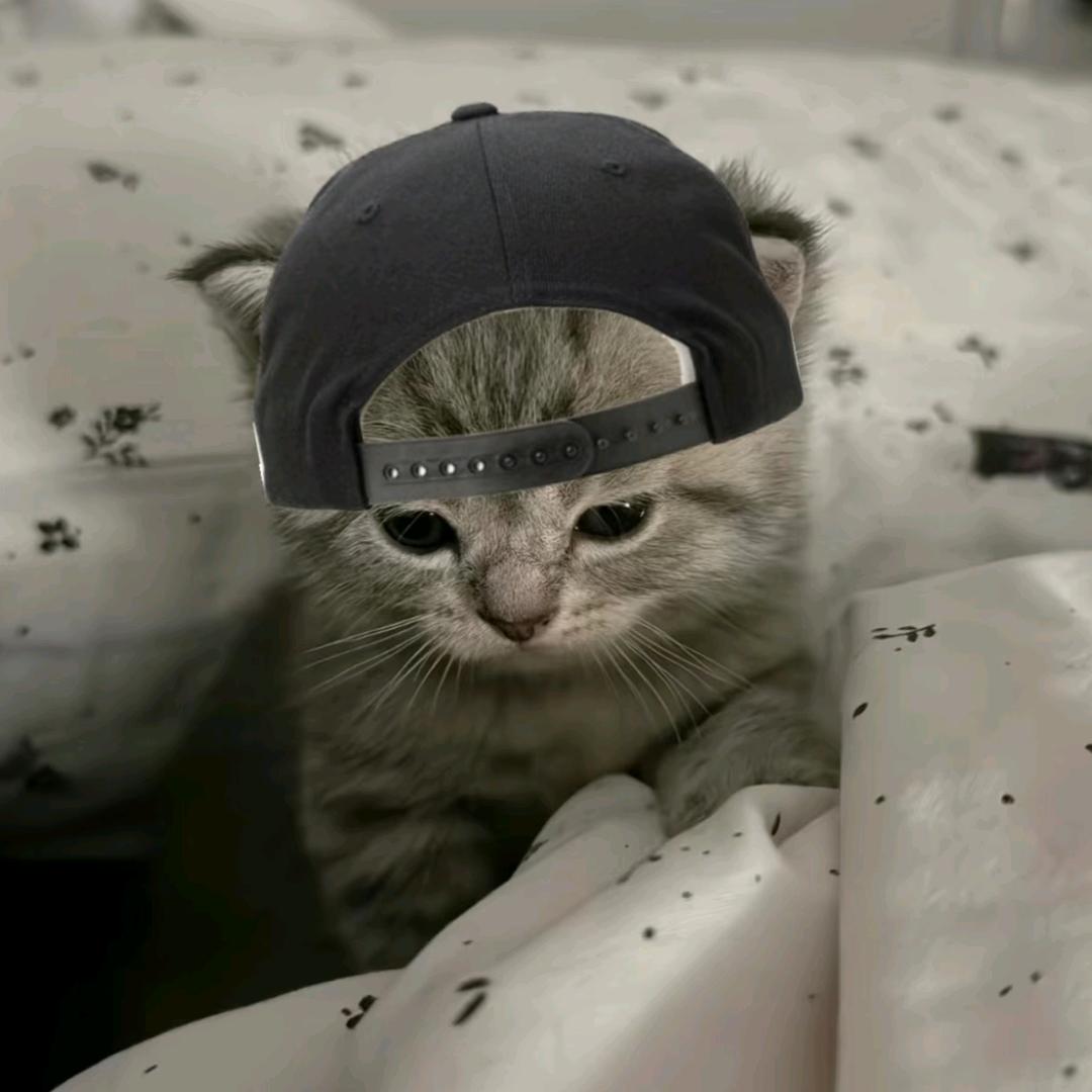 不要Jay样