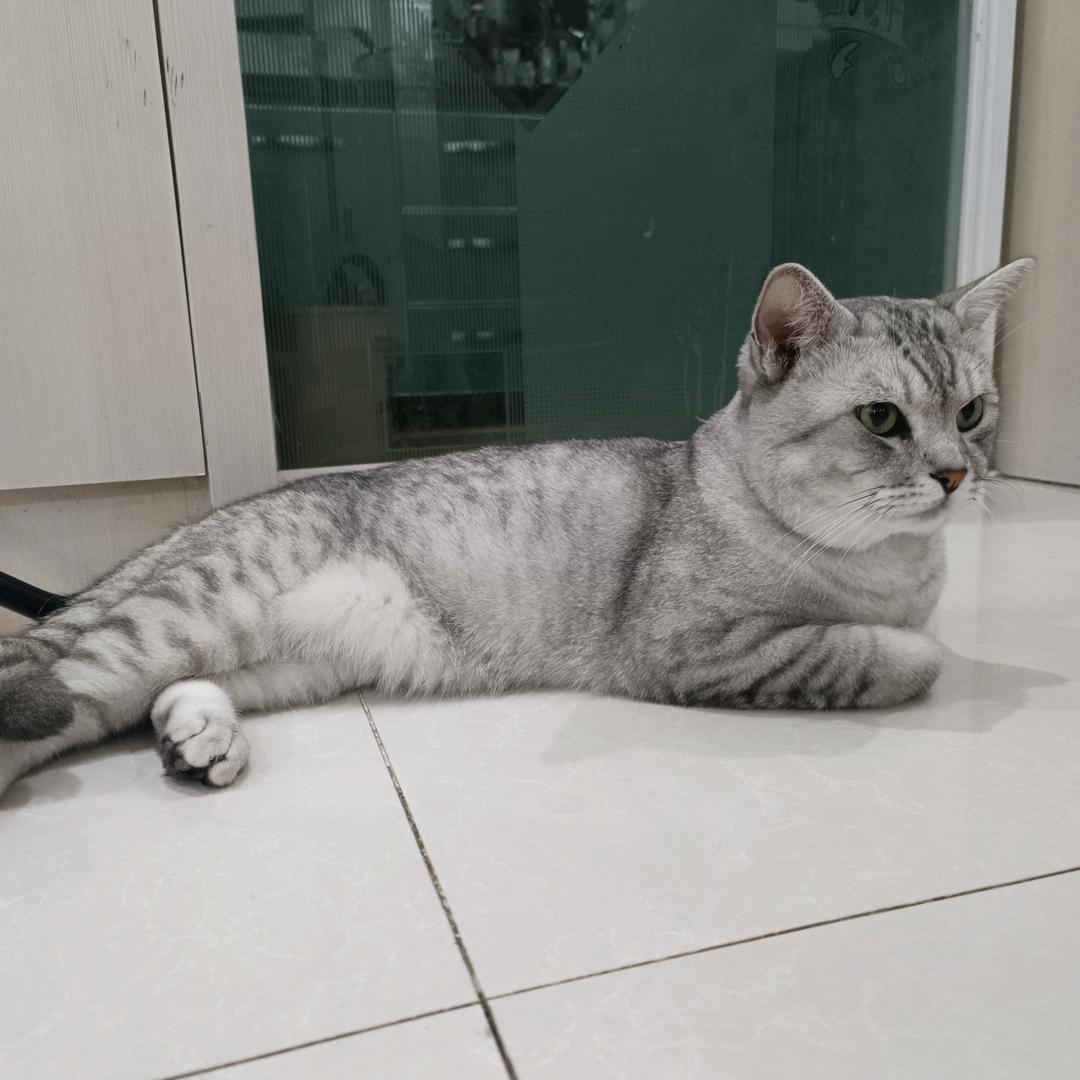 果粒