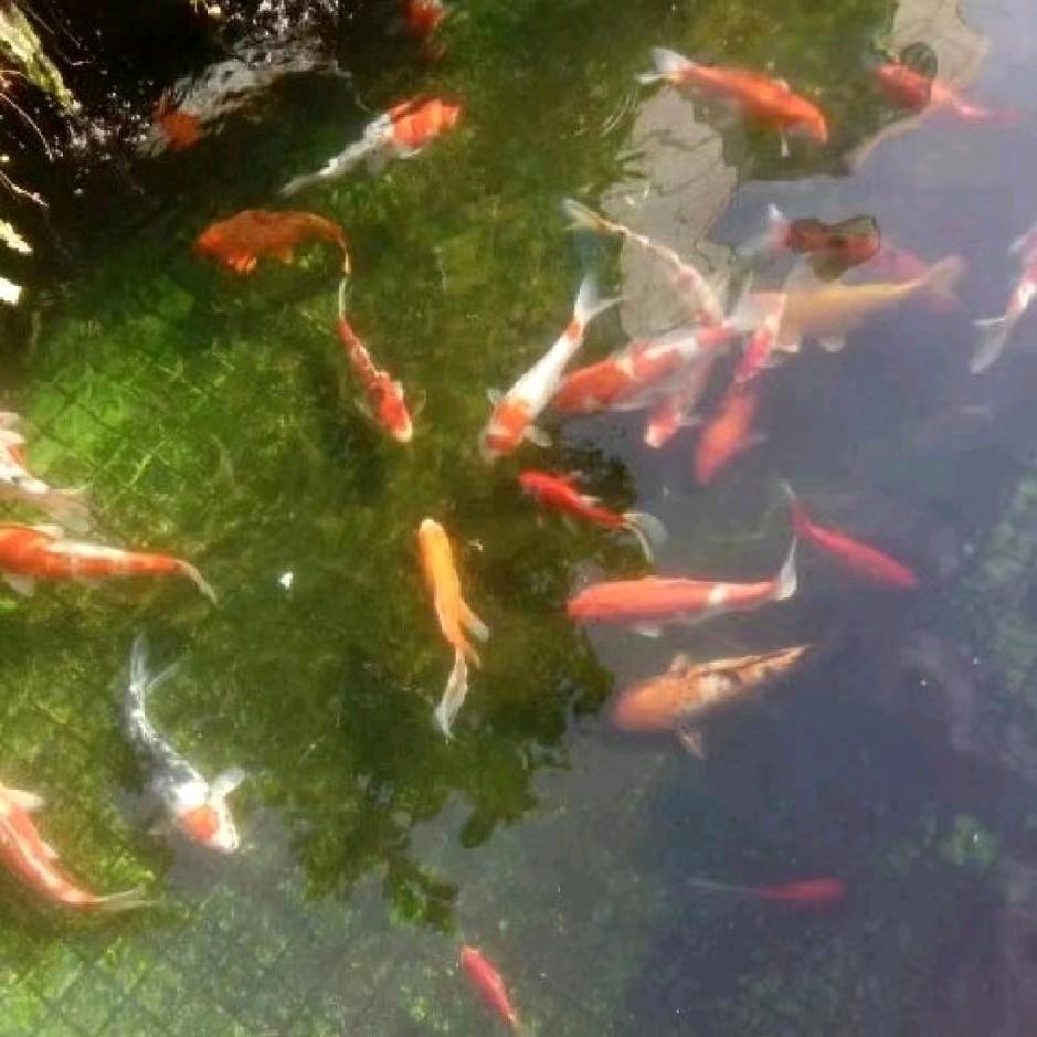 平凡人
