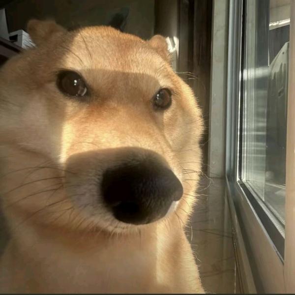 窝狠钾勾炎