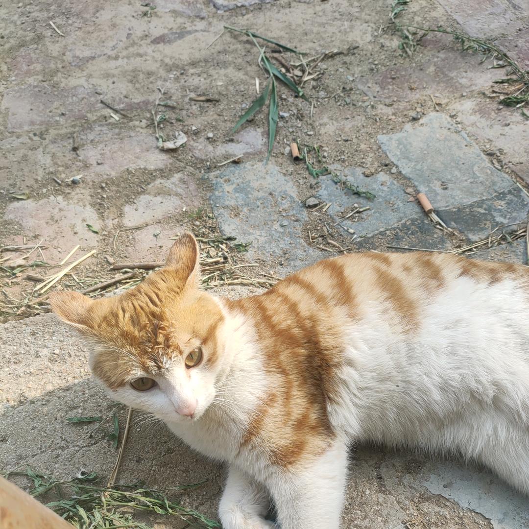欢迎你来到这里