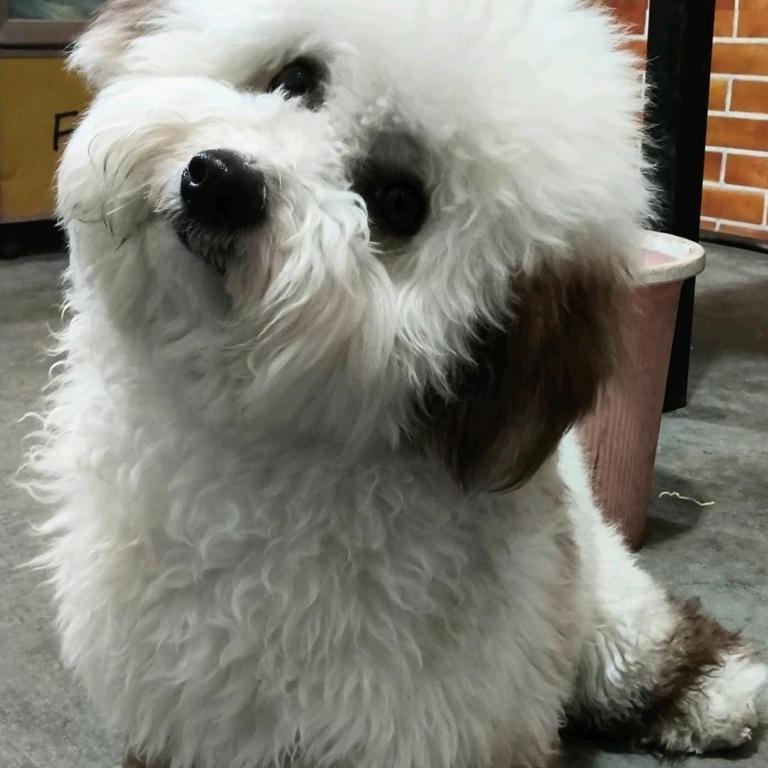 略略略啦啦啦