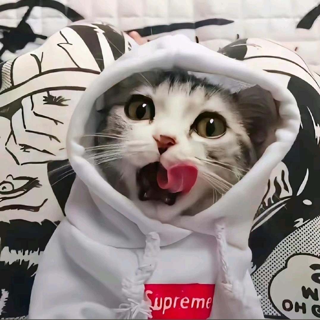 辞安.