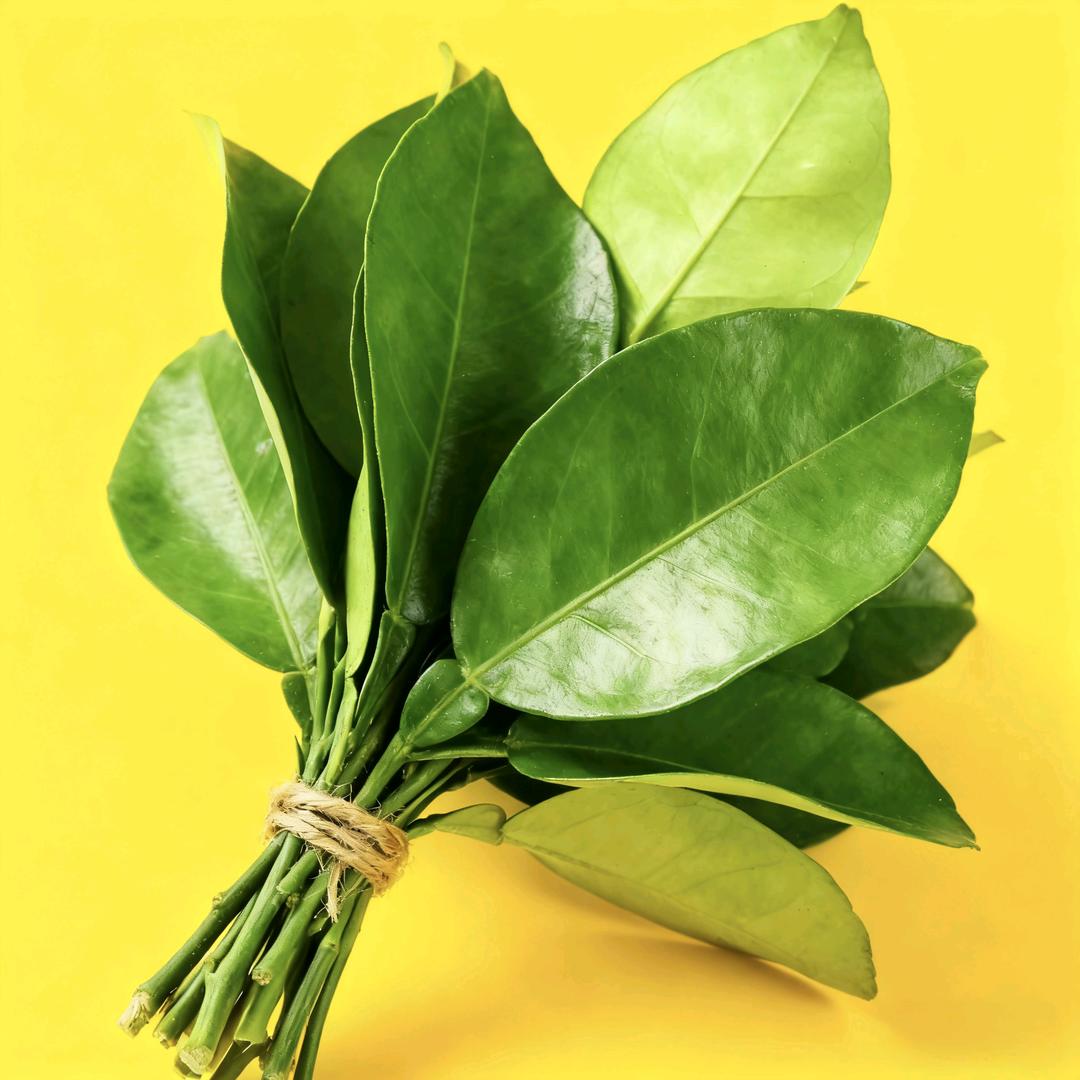 馒头日记（抗狼版）