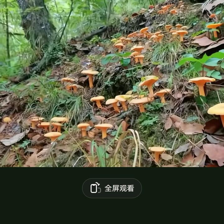 彭姐!微笑