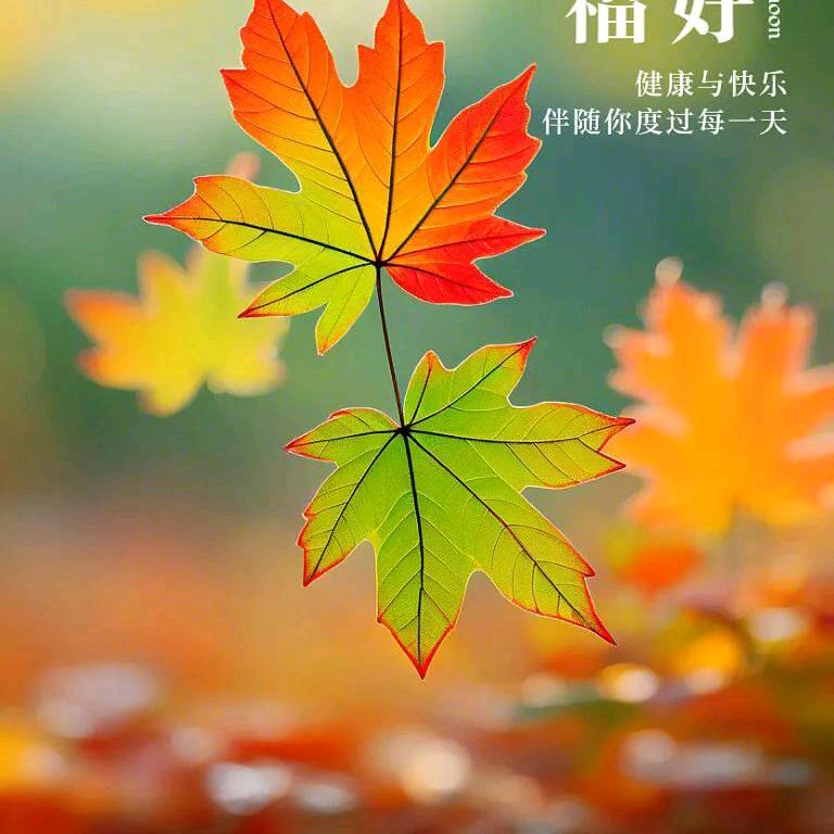 忘掉过往，珍惜现在拥有