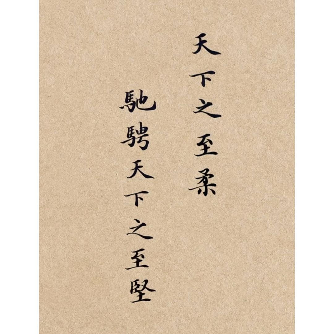 ·一蓑烟雨任平生