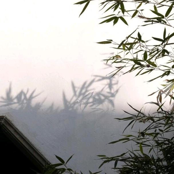 慕兮茶器甄选
