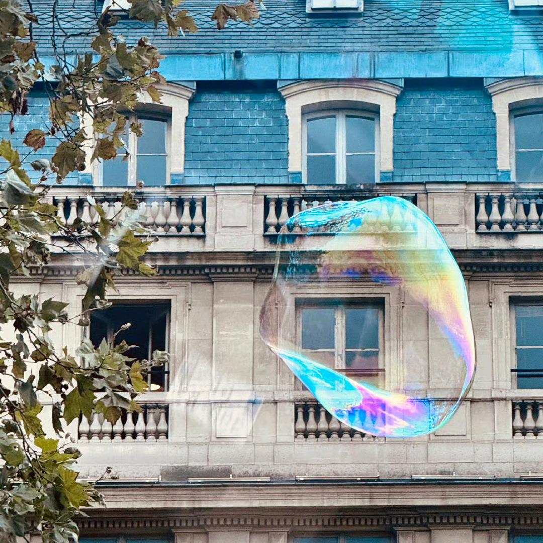 布尔日柔情草莓达克里