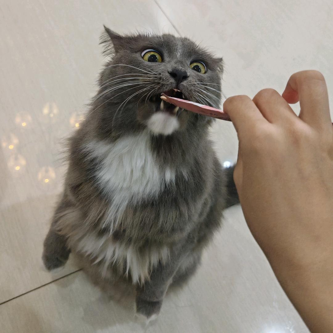 小事