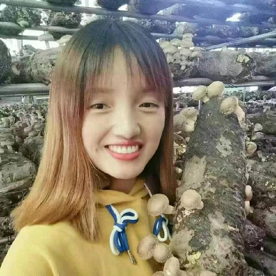 开往家乡的拖拉机🚜