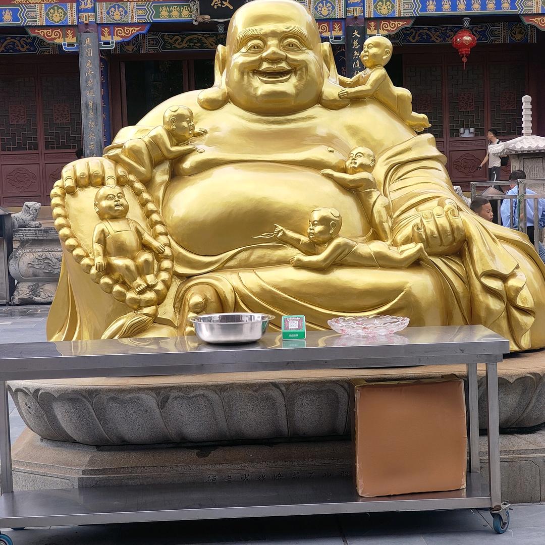 啊龙，斗鸡供应商，外贸