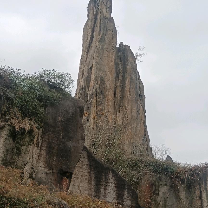 诚信