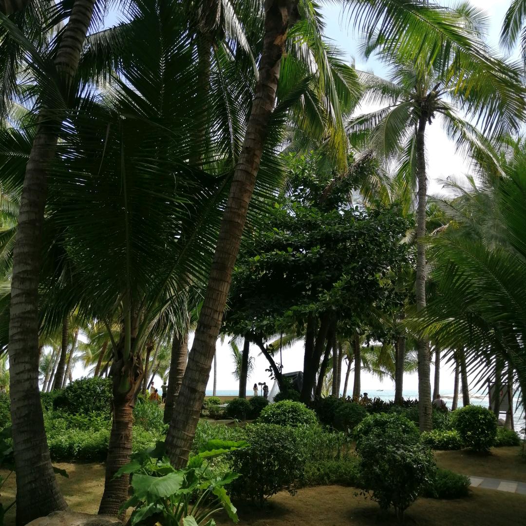 赢在思维✈️