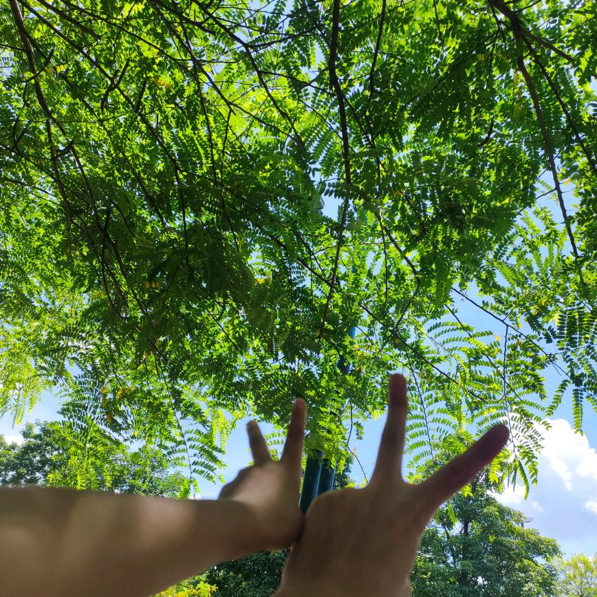 铜米破碎加工