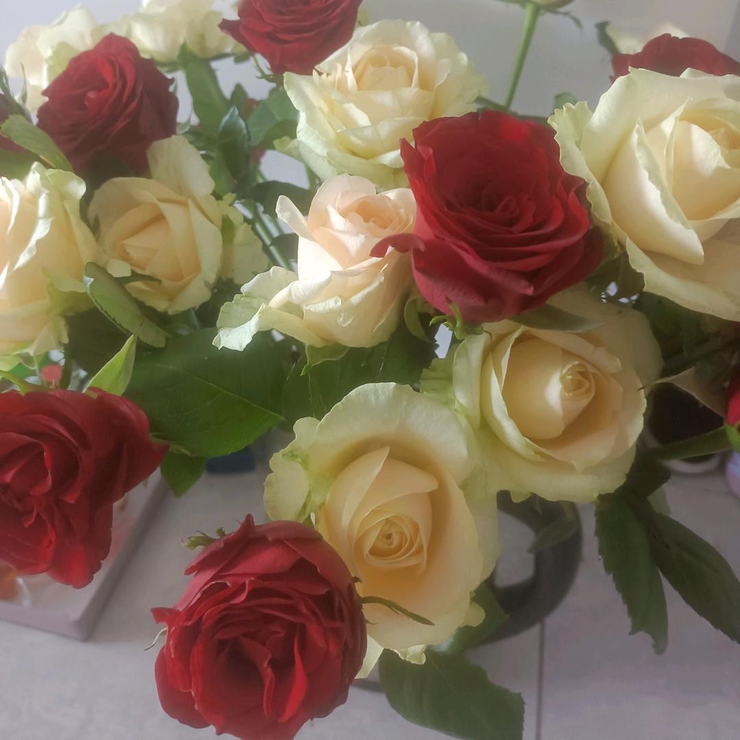 悠然🧚‍♀️自若🧚‍♀️