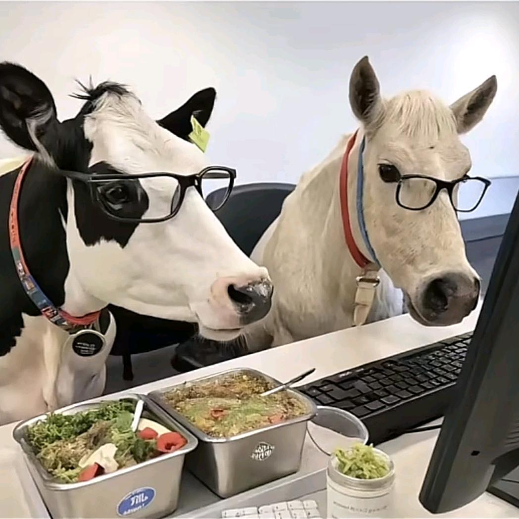 小旭