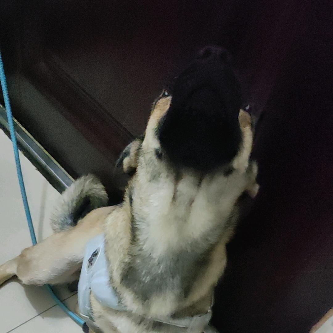 感慨