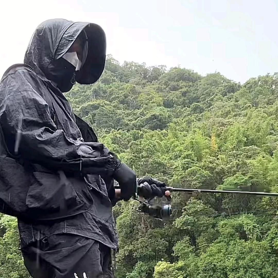 脑子已看坏头像